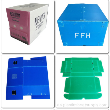 PP personalizada PP Hollow Corrugated Plastic Box PP PP